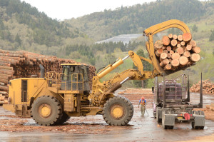 Contact Money in Motion to finance or lease Canadian forestry equipment today.